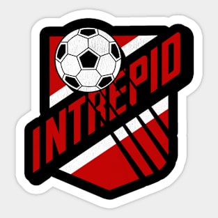 Vintage Ottawa Intrepid Hockey Sticker